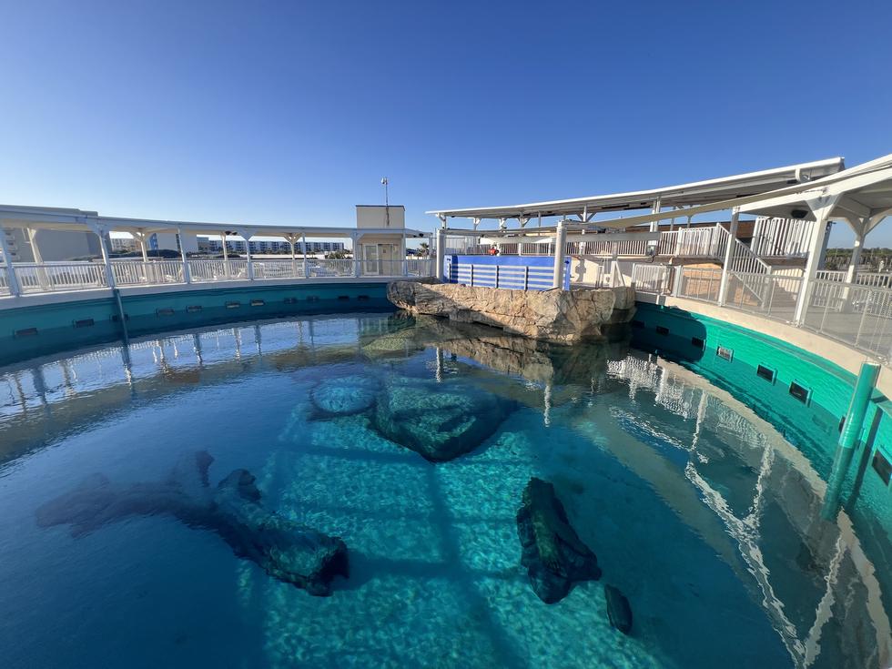 Marine mammal habitat pool with lift structure, Destin, Florida